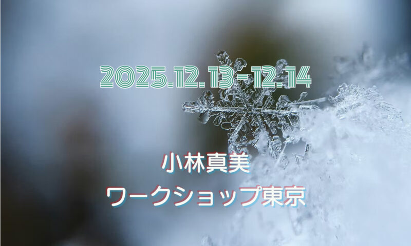 小林真美ワークショップ東京 -2025年12月-